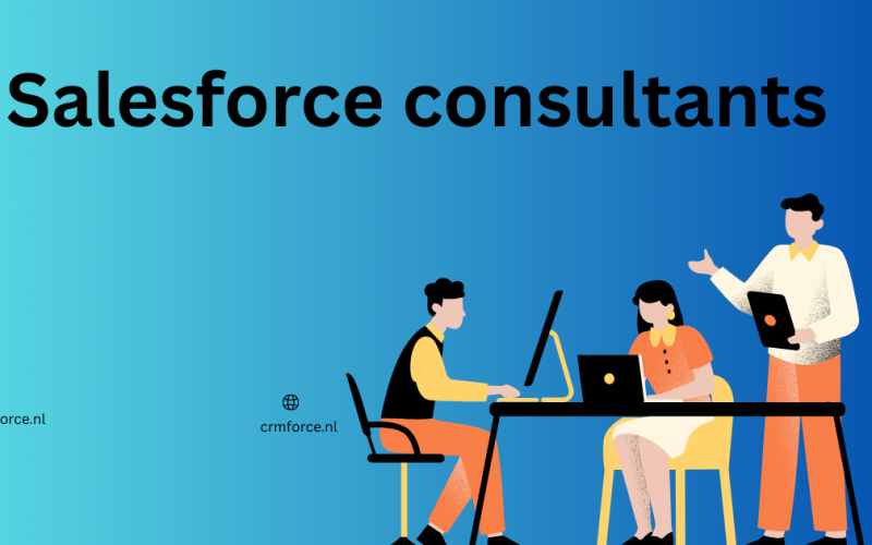 Salesforce consultants